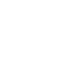 NTC Services Litigation Expert Testimony