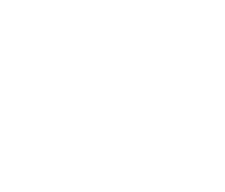 NTC mock audit driver